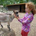 Farina im Tierpark