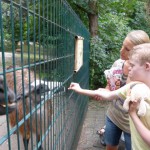 Hendrik im Tierpark