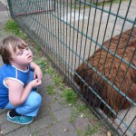 Giorgio im Tierpark